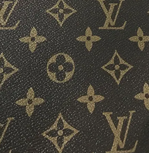 Bianca Jacket | LV Zip